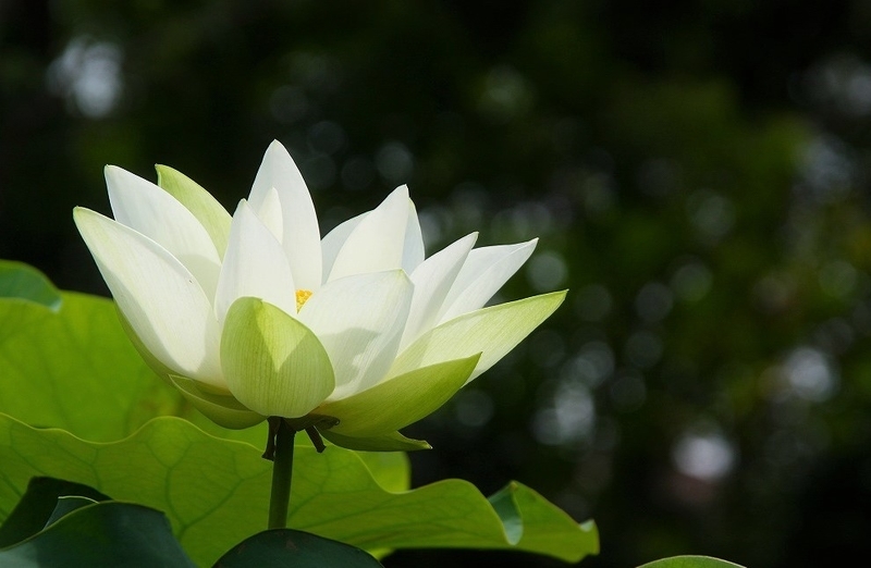f:id:yuuko1220:20200617215415j:plain f:id:yuuko1220:20200617215415j:plain