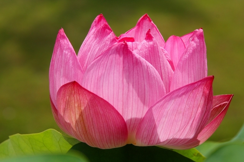 f:id:yuuko1220:20200621143419j:plain f:id:yuuko1220:20200621143419j:plain