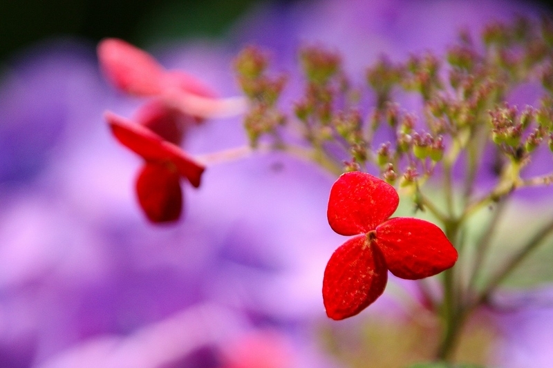 f:id:yuuko1220:20200625084307j:plain f:id:yuuko1220:20200625084307j:plain