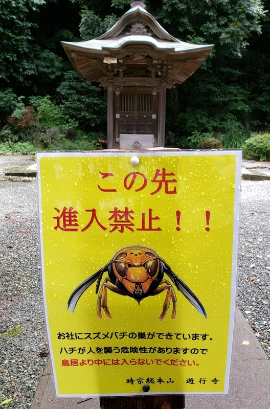 f:id:yuuko1220:20200709202625j:plain f:id:yuuko1220:20200709202625j:plain