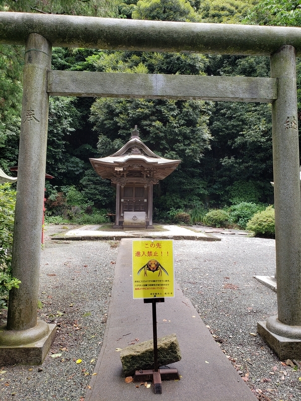 f:id:yuuko1220:20200709202657j:plain f:id:yuuko1220:20200709202657j:plain