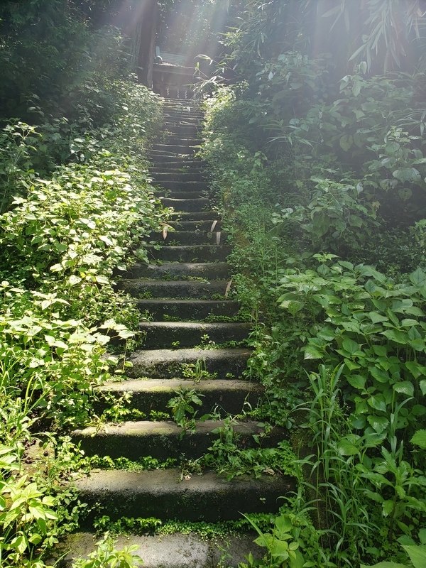 f:id:yuuko1220:20200709205907j:plain f:id:yuuko1220:20200709205907j:plain