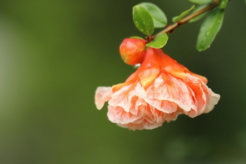 f:id:yuuko1220:20200715145841j:plain f:id:yuuko1220:20200715145841j:plain