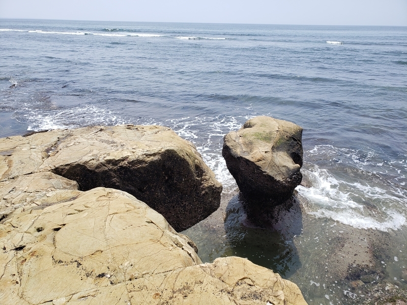 f:id:yuuko1220:20200721200452j:plain f:id:yuuko1220:20200721200452j:plain
