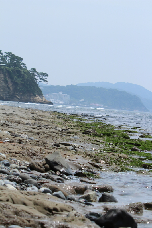 f:id:yuuko1220:20200727123552j:plain f:id:yuuko1220:20200727123552j:plain