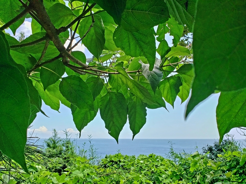 f:id:yuuko1220:20200802223746j:plain f:id:yuuko1220:20200802223746j:plain