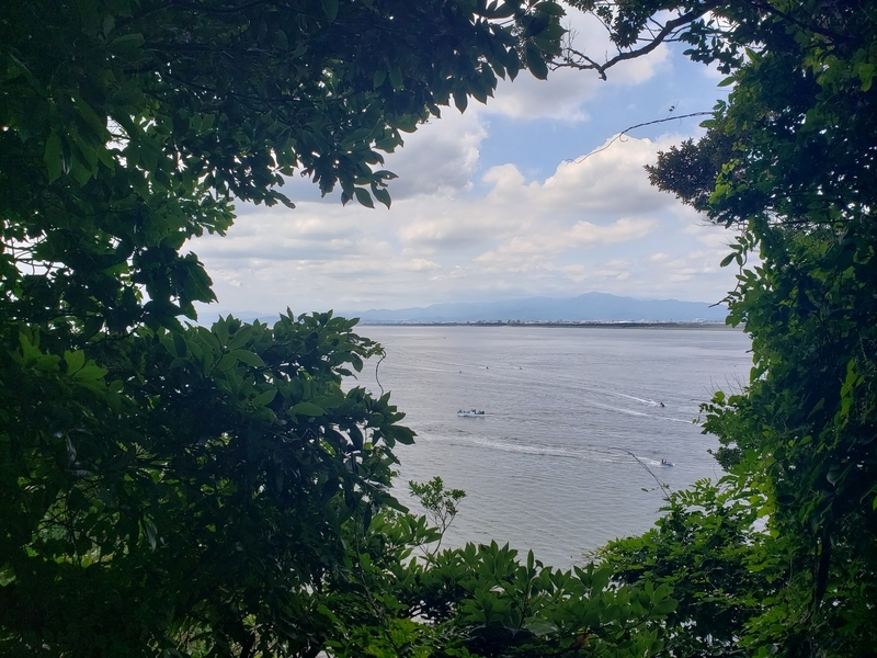 f:id:yuuko1220:20200803081430j:plain f:id:yuuko1220:20200803081430j:plain
