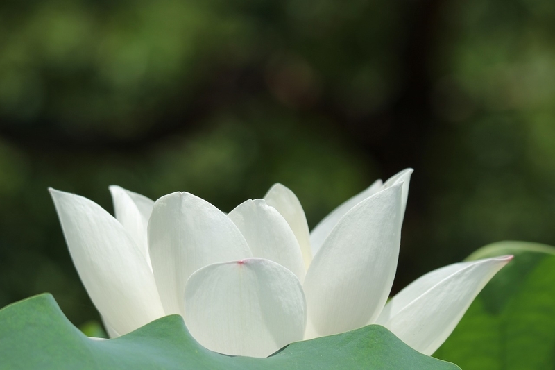 f:id:yuuko1220:20200807213550j:plain f:id:yuuko1220:20200807213550j:plain