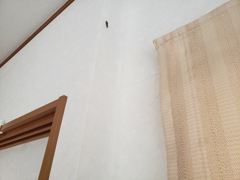 f:id:yuuko1220:20200809142234j:plain f:id:yuuko1220:20200809142234j:plain