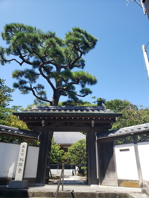 f:id:yuuko1220:20200913072330j:plain f:id:yuuko1220:20200913072330j:plain