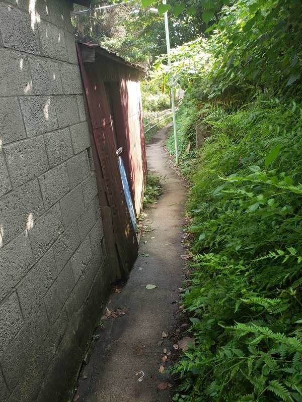 f:id:yuuko1220:20200918215108j:plain f:id:yuuko1220:20200918215108j:plain