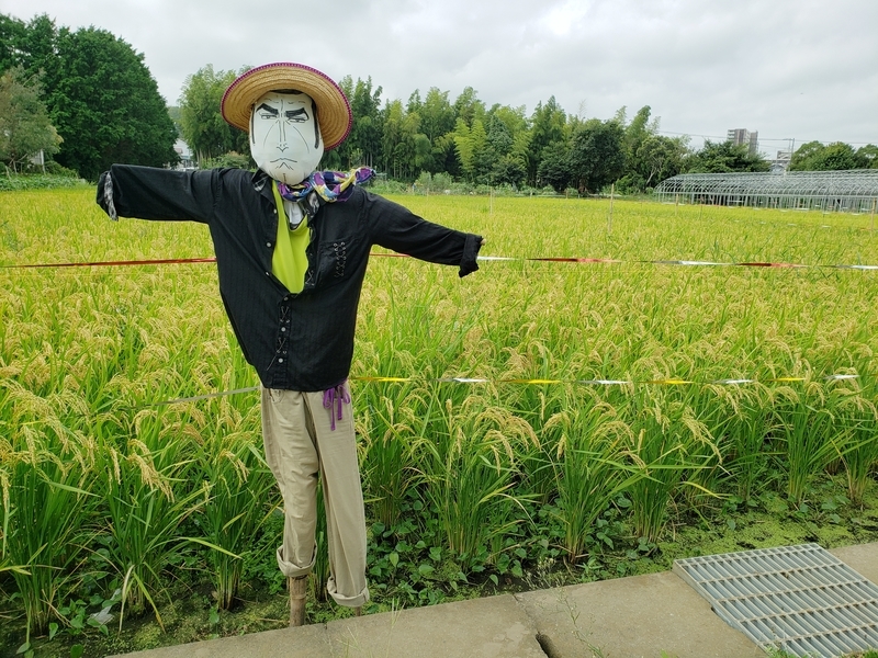 f:id:yuuko1220:20200918215411j:plain f:id:yuuko1220:20200918215411j:plain