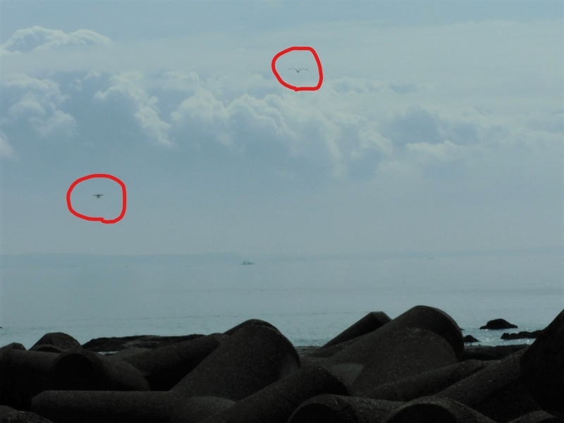 f:id:yuuko1220:20200919171856j:plain f:id:yuuko1220:20200919171856j:plain