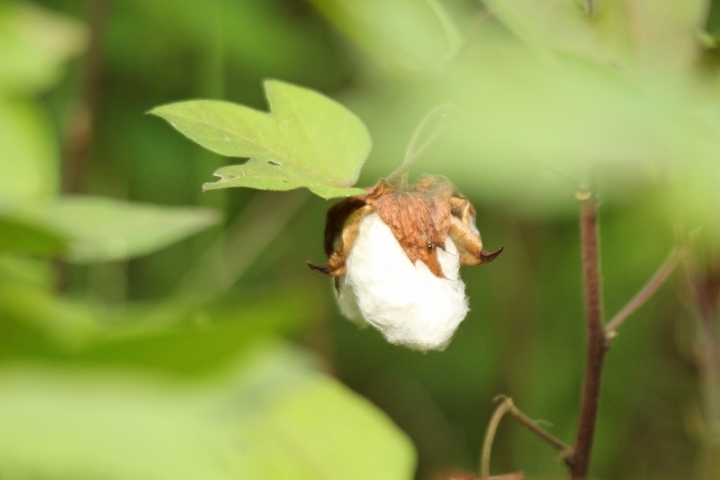 f:id:yuuko1220:20200925210903j:plain f:id:yuuko1220:20200925210903j:plain