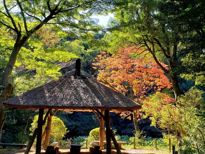 f:id:yuuko1220:20201105152608j:plain f:id:yuuko1220:20201105152608j:plain