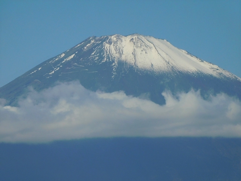 f:id:yuuko1220:20201118221937j:plain