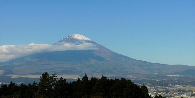 f:id:yuuko1220:20201118221944j:plain