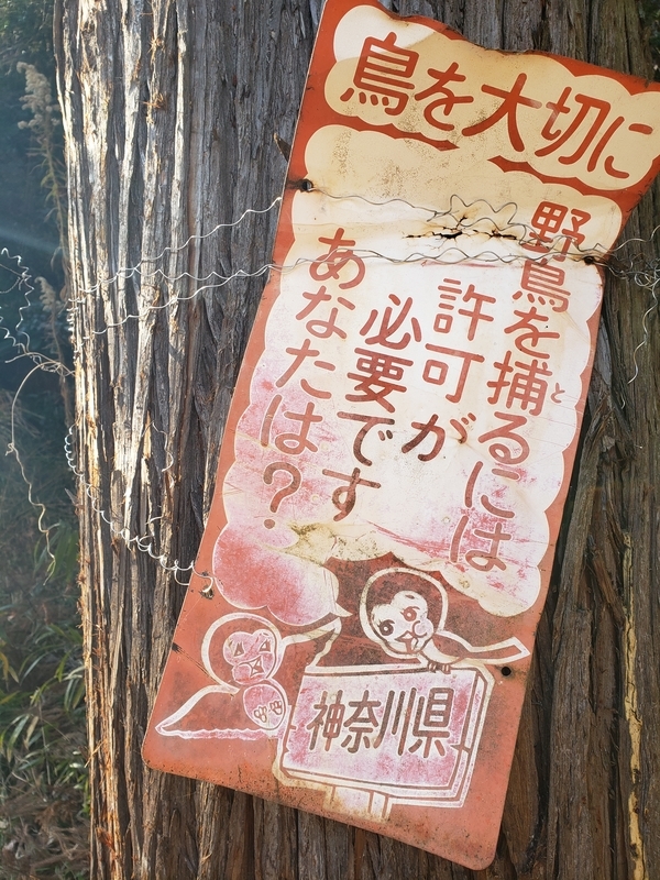 f:id:yuuko1220:20210124124843j:plain