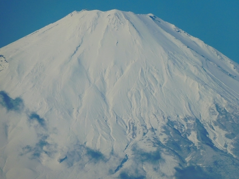 f:id:yuuko1220:20210130161523j:plain
