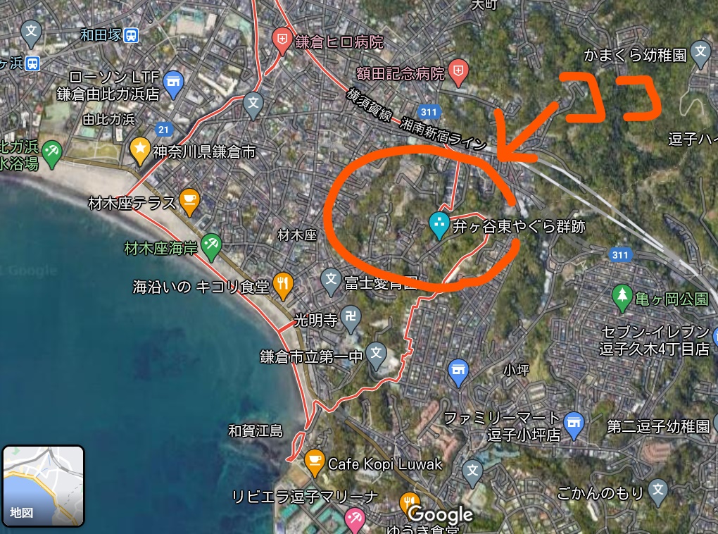 f:id:yuuko1220:20210301215337j:plain