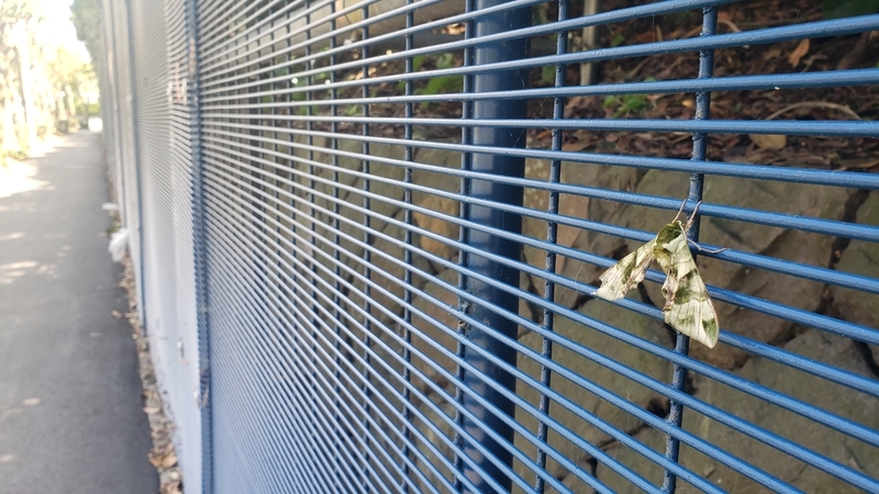 f:id:yuuko1220:20210423193045j:plain