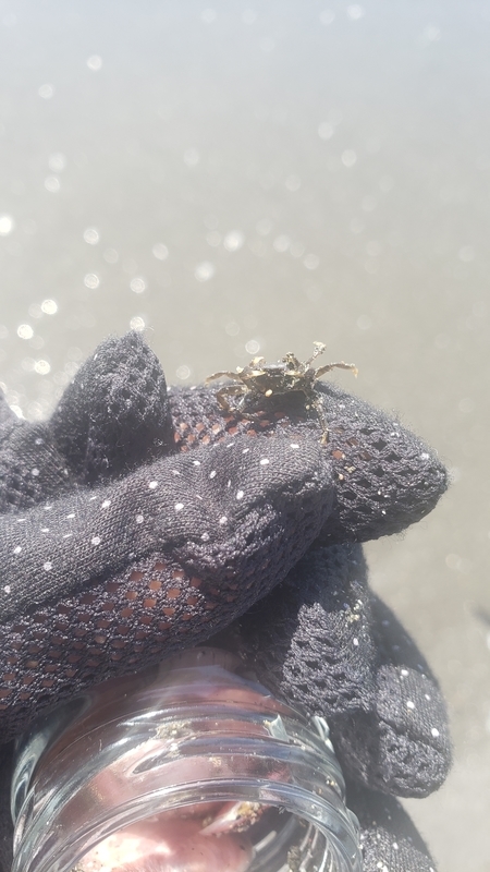 f:id:yuuko1220:20210425211600j:plain