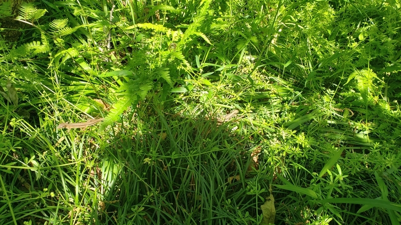 f:id:yuuko1220:20210425211624j:plain