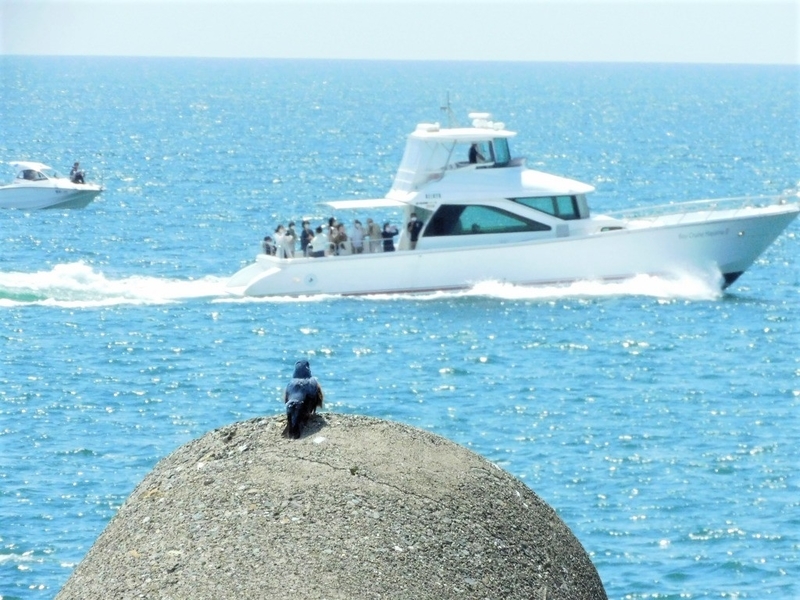 f:id:yuuko1220:20210425213238j:plain