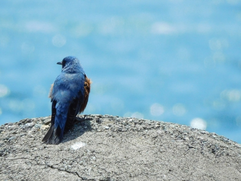 f:id:yuuko1220:20210425213246j:plain