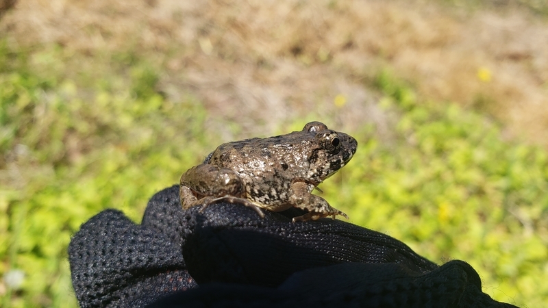 f:id:yuuko1220:20210503084548j:plain