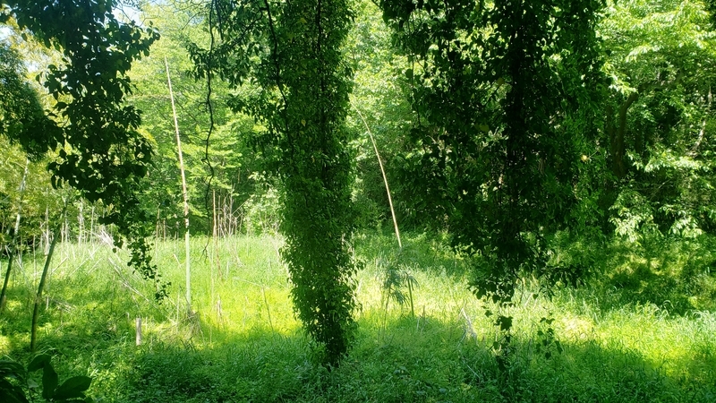 f:id:yuuko1220:20210503143203j:plain