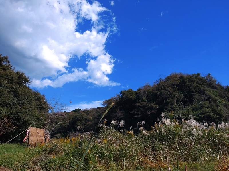 f:id:yuuko1220:20211023161346j:plain