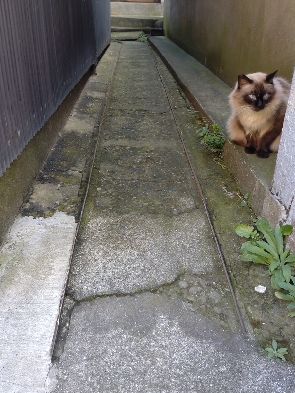 f:id:yuuko1220:20211023162317j:plain