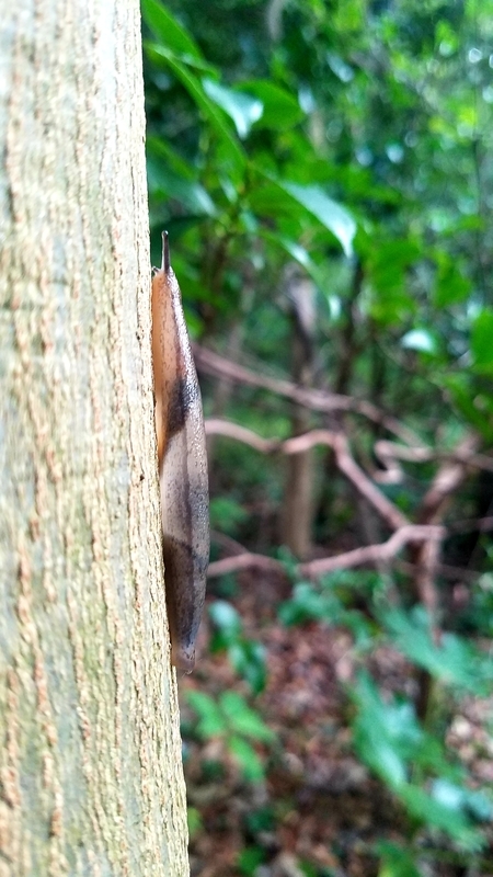 f:id:yuuko1220:20211029214325j:plain