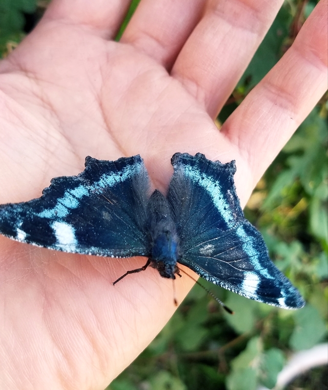 f:id:yuuko1220:20211029214348j:plain