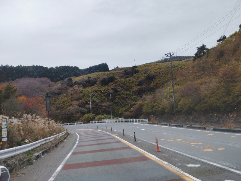 f:id:yuuko1220:20211125203600j:plain