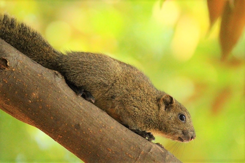 f:id:yuuko1220:20211218225735j:plain