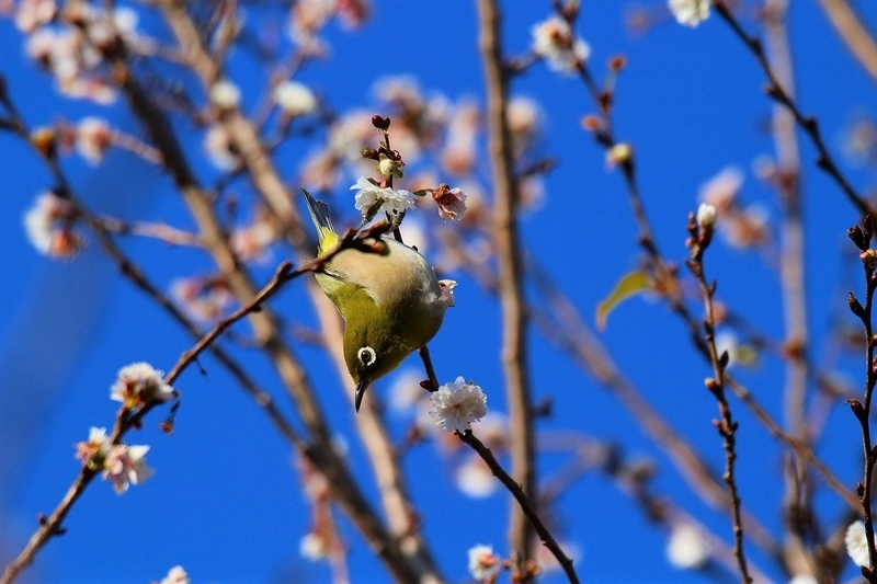 f:id:yuuko1220:20211218225745j:plain