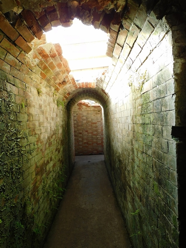 f:id:yuuko1220:20211219091729j:plain