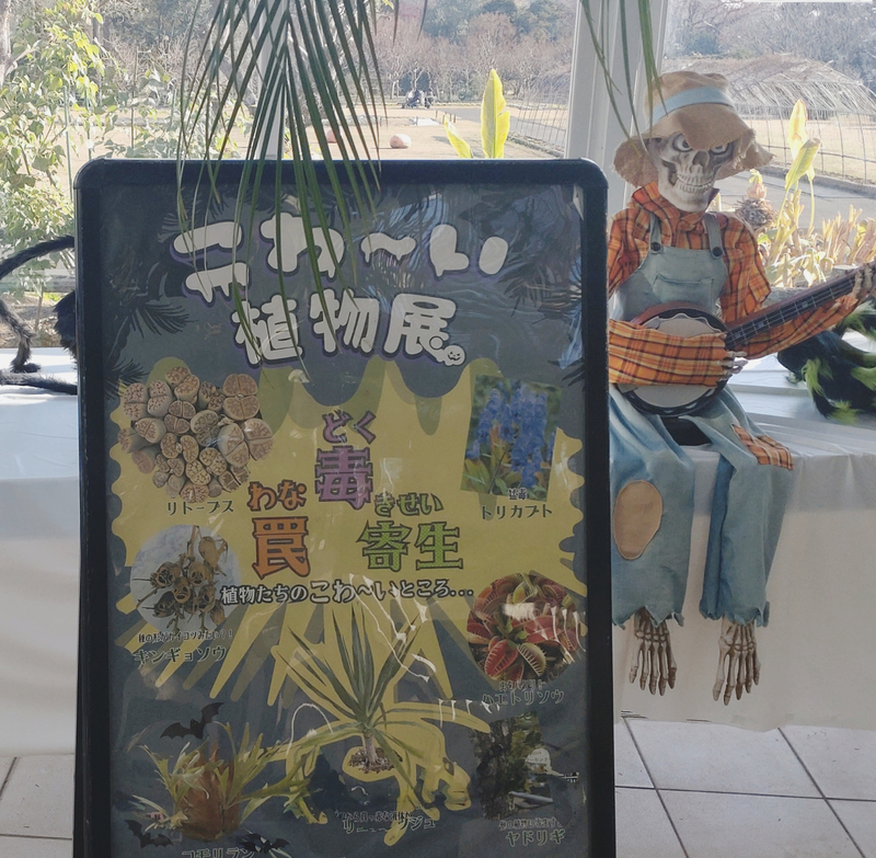 f:id:yuuko1220:20211220081154j:plain