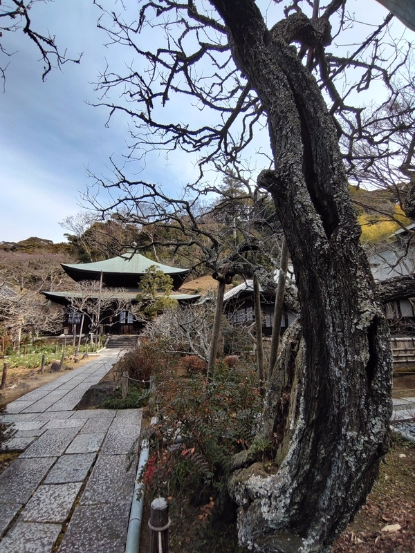 f:id:yuuko1220:20220205155847j:plain