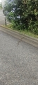 20250611222547