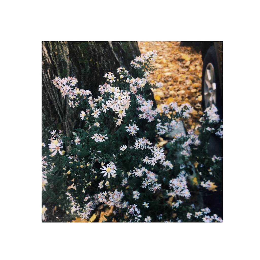 f:id:yuukrais917:20181116055133j:image f:id:yuukrais917:20181116055133j:image