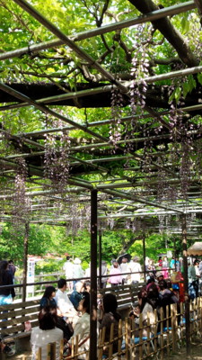 f:id:yuukya:20140427152825j:image f:id:yuukya:20140427152825j:image