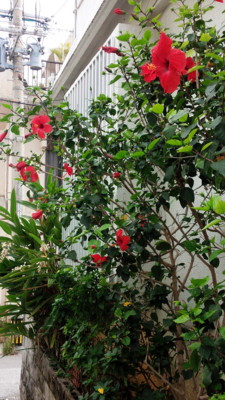 f:id:yuukya:20140511150331j:image f:id:yuukya:20140511150331j:image