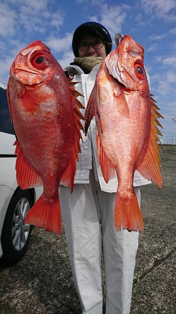 f:id:yuumaru0411:20190301164332j:image