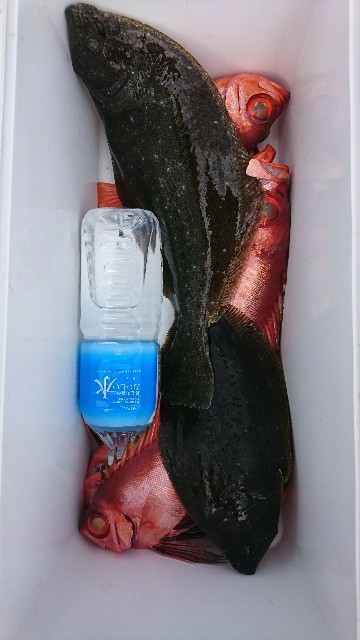 f:id:yuumaru0411:20190301164358j:image