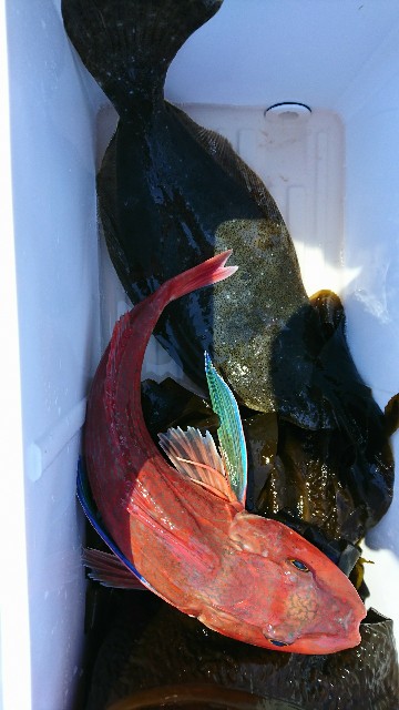 f:id:yuumaru0411:20190325224407j:image