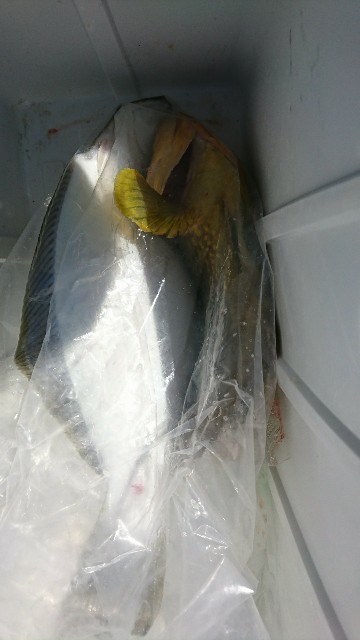 f:id:yuumaru0411:20190325224416j:image