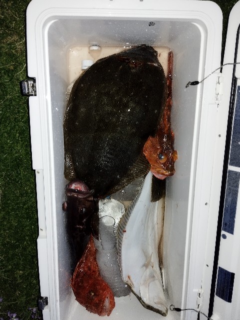 f:id:yuumaru0411:20230321082613j:image